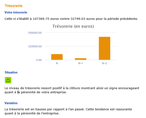 Rapport : trésorerie